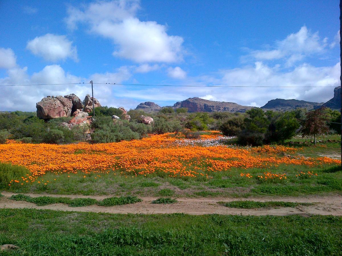 De Pakhuys Villa Clanwilliam Luaran gambar